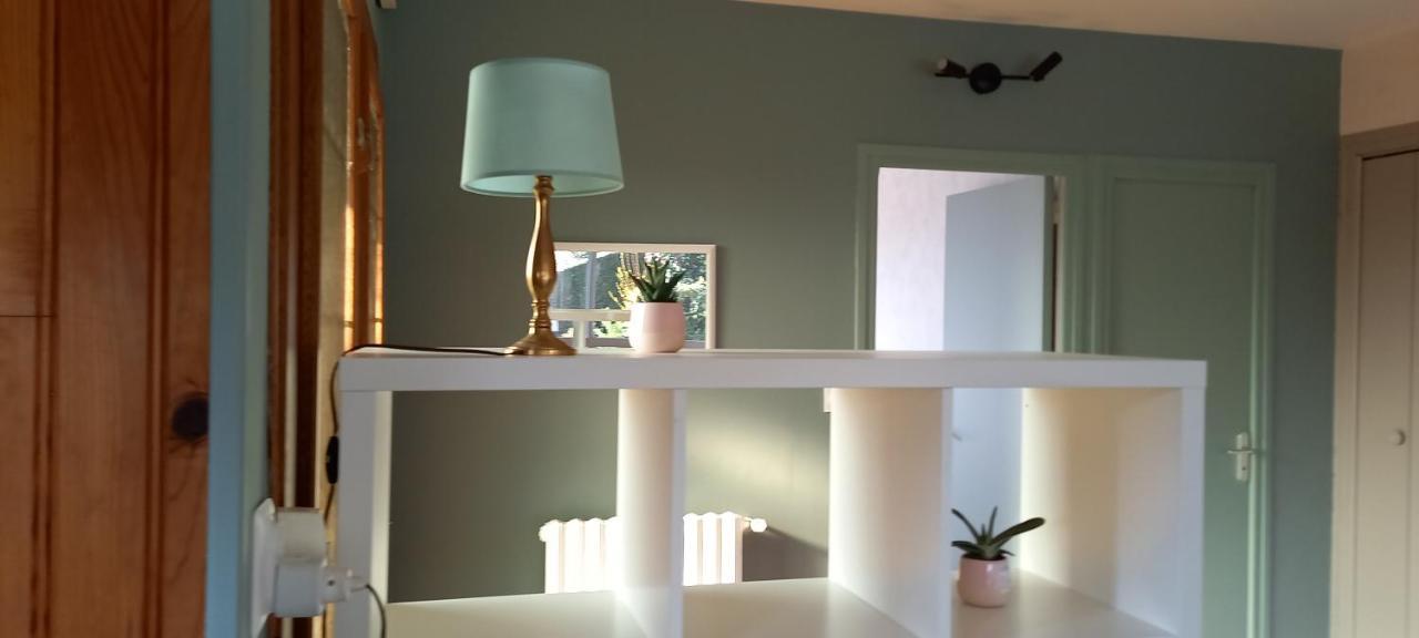 Terrasse, Jardin,, Appartement 80M², Vue Montagne, Wifi, Bureau Bagnères-de-Bigorre Buitenkant foto